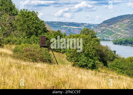 Ein Jagdstand bei Trechtingshausen, Rheinland-Pfalz, Deutschland - mit dem Mittelrheintal im Hintergrund Stockfoto