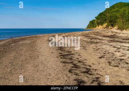 Die Ostseeküste mit dem Strand in Brook, Mecklenburg-Vorpommern, Deutschland Stockfoto