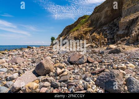 Die Ostseeküste und die Klippen von Brodten, Schleswig-Holstein, Deutschland Stockfoto