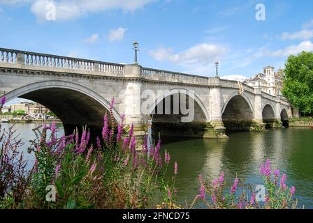 Richmond Bridge und Themse, Richmond, London Borough of Richmond upon Thames, Greater London, England, Vereinigtes Königreich Stockfoto