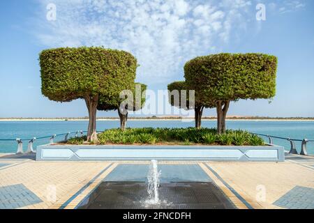 Am Morgen vier Bäume an der Abu Dhabi Corniche. Öffentlicher Gang mit einem kleinen Brunnen in der Mitte. Stockfoto