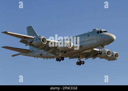 Ein Kawasaki P1 Maritime Patrouillenflugzeug mit der japanischen Maritime Self Defense Force (JMSDF) Air Squadron 3 fliegt in der Nähe der Naval Air Facility in Kanagawa. (Foto von Damon Coulter / SOPA Images/Sipa USA) Stockfoto