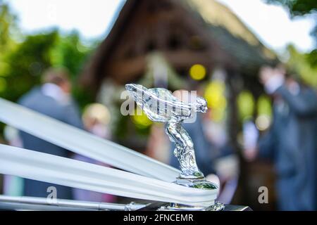 Nahaufnahme eines Rolls-Royce Autos bei einer Hochzeit Stockfoto