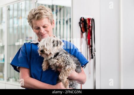 Happy Tierarzt die kranken Welpen Stockfoto