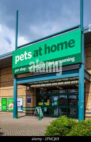 Pets at Home Store in Stevenage UK. Pets at Home ist eine Kette von Haustierbedarf und Zubehörgeschäften, die 1991 gegründet wurde. Stockfoto