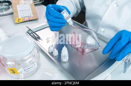 Polizei Experte erhält Blutprobe von einem zerbrochenen Flaschen in Kriminalistische Lab, konzeptionelle Bild Stockfoto