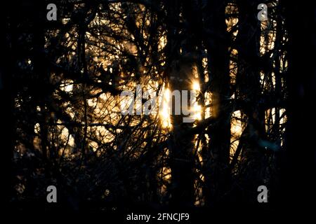 Am späten Nachmittag Sonne fotografiert Samstag, 21. November 2020 in Waushara County, Wisconsin. Stockfoto