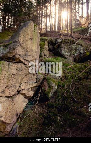 Felsformation gegen die untergehende Sonne im Wald bei Zigeunerberg (Tinker Berg) im Zittauer Gebirge, Deutschland Stockfoto