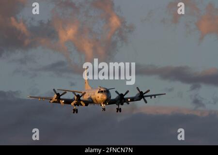 Yamato, Japan. Januar 2020. Ein Orion Maritime Aufklärungsflugzeug der Lockheed P-3C bereitet sich auf die Landung in der Naval Air Facility in Kanagawa vor. Quelle: Damon Coulter/SOPA Images/ZUMA Wire/Alamy Live News Stockfoto