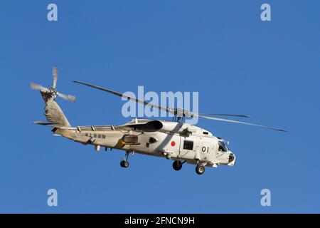 Yamato, Japan. Januar 2020. Ein Hubschrauber der japanischen Selbstverteidigungskräfte (JMSDF), Mitsubishi SH-60J Seahawk, fliegt in der Nähe der Naval Air Facility in Kanagawa. Quelle: Damon Coulter/SOPA Images/ZUMA Wire/Alamy Live News Stockfoto