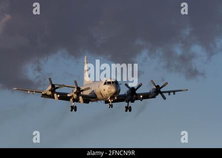 Yamato, Japan. Januar 2020. Ein Lockheed P-3C Orion Maritime Aufklärungsflugzeug bereitet das Land in der Naval Air Facility in Kanagawa vor. Quelle: Damon Coulter/SOPA Images/ZUMA Wire/Alamy Live News Stockfoto