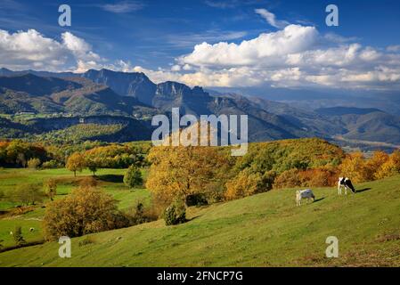 Blick auf die Puigsacalm und die Wiesen und Weiden bei Falgars d'en Bas im Herbst (Garrotxa, Katalonien, Spanien, Pyrenäen) Stockfoto