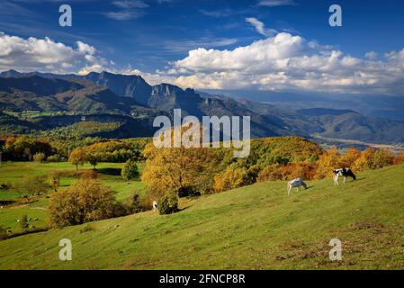 Blick auf die Puigsacalm und die Wiesen und Weiden bei Falgars d'en Bas im Herbst (Garrotxa, Katalonien, Spanien, Pyrenäen) Stockfoto