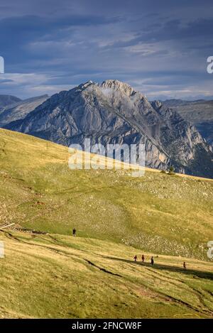 Ensija-Gebirge und das Pedraforca-Massiv. Von einem Ort in der Nähe der Ensija-Hütte (Berguedà, Katalonien, Spanien, Pyrenäen) Stockfoto