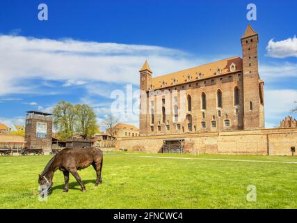 Gniew, Polen - Gniew liegt auf der linken Rückseite der Weichsel und ist berühmt für seine wunderbare mittelalterliche Architektur und seine gotische Backsteinburg Stockfoto