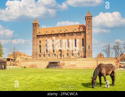 Gniew, Polen - Gniew liegt auf der linken Rückseite der Weichsel und ist berühmt für seine wunderbare mittelalterliche Architektur und seine gotische Backsteinburg Stockfoto