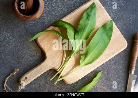 Frische junge Bärlauch-Blätter - eine wilde essbare Pflanze Wächst im Frühjahr Stockfoto