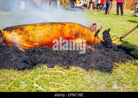 Metzger verbrennen Strohhaufen, um Haare von der Schweinehaut in der Metzgerei im Freien zu entfernen. Stockfoto