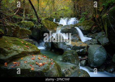 Fluss Gurn, auf dem Weg zwischen Sant Privat und dem Wasserfall Salt de Sallent im Herbst (Vall d'en Bas, Garrotxa, Katalonien, Spanien) Stockfoto