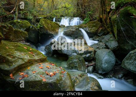 Fluss Gurn, auf dem Weg zwischen Sant Privat und dem Wasserfall Salt de Sallent im Herbst (Vall d'en Bas, Garrotxa, Katalonien, Spanien) Stockfoto