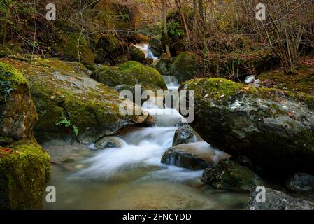Fluss Gurn, auf dem Weg zwischen Sant Privat und dem Wasserfall Salt de Sallent im Herbst (Vall d'en Bas, Garrotxa, Katalonien, Spanien) Stockfoto