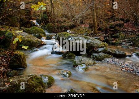 Fluss Gurn, auf dem Weg zwischen Sant Privat und dem Wasserfall Salt de Sallent im Herbst (Vall d'en Bas, Garrotxa, Katalonien, Spanien) Stockfoto