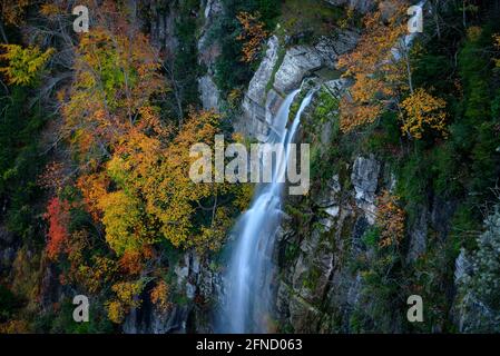 Wasserfall Salt de la Coromina in Falgars d'en Bas bei Sonnenuntergang im Herbst (Garrotxa, Katalonien, Spanien) ESP: Cascada del Salt de la Coromina en otoño Stockfoto