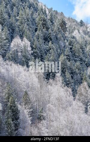 Setcases Stadt und Tal vom Aussichtspunkt aus gesehen in einem winterverschneiten Morgen (Ripollès, Katalonien, Spanien, Pyrenäen) ESP: Pueblo y valle de Setcases Stockfoto