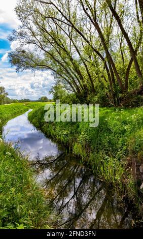 Bottisham Lode Cambridgeshire Stockfoto