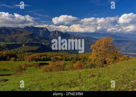 Blick auf die Puigsacalm und die Wiesen und Weiden bei Falgars d'en Bas im Herbst (Garrotxa, Katalonien, Spanien, Pyrenäen) Stockfoto