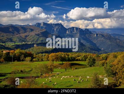 Blick auf die Puigsacalm und die Wiesen und Weiden bei Falgars d'en Bas im Herbst (Garrotxa, Katalonien, Spanien, Pyrenäen) Stockfoto