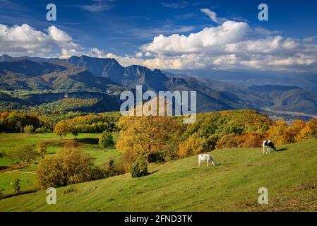 Blick auf die Puigsacalm und die Wiesen und Weiden bei Falgars d'en Bas im Herbst (Garrotxa, Katalonien, Spanien, Pyrenäen) Stockfoto