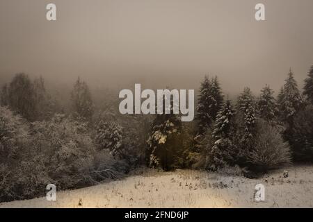 Gott strahlte durch den Nebel und erleuchteten einen Fleck darin Ein Winterwald Stockfoto