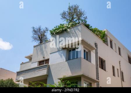 Ein renoviertes Gebäude am Rothschild Boulevard in Tel Aviv. Stockfoto
