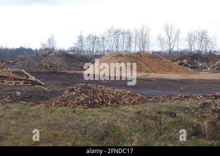 Abfalldeponie für Holzbearbeitung. Berge von Sägemehl, Ästen und Bäumen. Konzept für die Umweltsicherheit. Stockfoto