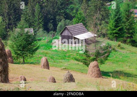 Kaution für Heustapel im ländlichen Rumänien, traditionelle Dorf arbeiten Stockfoto