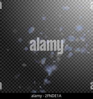 Hellblaue Blütenblätter fallen herunter. Schön romantische Blumenecke. Fliegendes Blütenblatt auf transparentem quadratischem Hintergrund. Liebe, Romantik Konzept. Verführerisch Stock Vektor