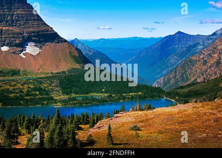 Hidden Lake mit Bearhat Mountain, Logan Pass, Glacier National Park, Montana Stockfoto