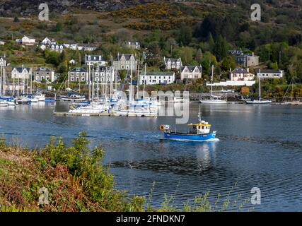 Sonniger Frühlingsmorgen im Hafen von Tarbert, Kintyre Peninsula, Argyll, Schottland. Stockfoto