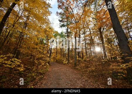 Waldweg in der Nähe von Eagle's Nest, Ottawa, Ontario, Kanada Stockfoto