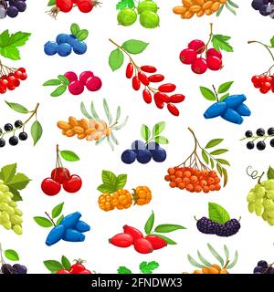 Beeren nahtloses Muster. Cartoon-Vektor Sanddorn, schwarze Apfelbeere und Kirsche, Weißdorn, Heidelbeere und Stachelbeere, Viburnum, Berberitze und Honigseim Stock Vektor