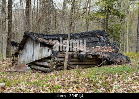 Ein heruntergekommenes einstürzendes altes Blockhütten-Jagdlager in den Adirondack Mountains, NY Wildnis. Stockfoto