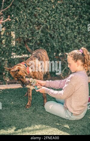 Junge lächelnde Mädchen wegnehmen Spielzeug, während sie mit großen spielen Hund im Garten im Sommer Sonnentag Stockfoto