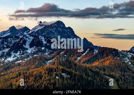 Verschneite Berggipfel der Civetta Gruppe mit herbstlicher Lerche im Vordergrund, Zoldo Alto, Val di Zoldo, Dolomiten, Italien Stockfoto