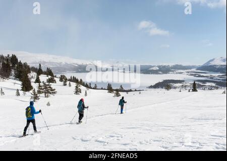 Wandergruppe im Winter in den Bergen, Schnee, Schneeschuhwandern, Blick auf den verschneiten Furusjoen-See, Furusjoeen, bei Mysusaeter, Mysuseter, Rondane Stockfoto