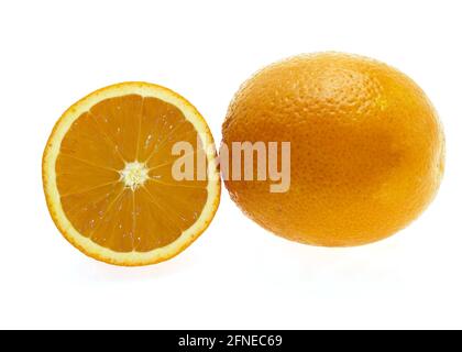 Citrus sinensis, Orange, Orangenbaum (Citrus sinensis), Orangenbaum, Orange, Familie der Rue, ORANGEN Citrus sinensis vor weißem Hintergrund, Orange Stockfoto