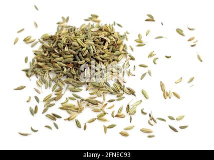 Fenchelsamen (Foeniculum vulgare) vor weißem Hintergrund Stockfoto