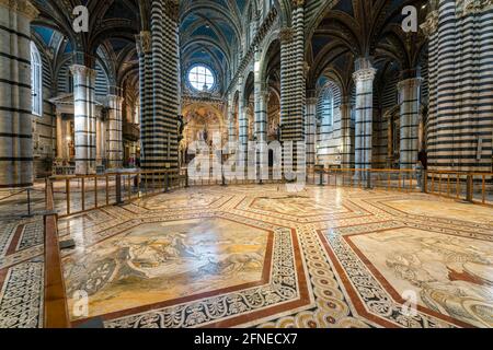 Kreuzung mit Chor und Marmorboden, Kathedrale von Siena, Duomo Santa Maria Assunta, Siena, Toskana, Italien Stockfoto