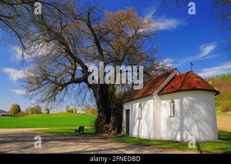 Kapelle bei Zusmarshausen (Kreis Augsburg), Schwaben, Bayern, Deutschland Stockfoto