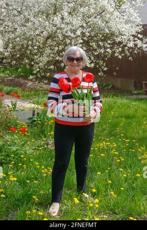 In voller Länge Porträt einer lächelnden älteren Frau, die steht Mit Tulpen in den Händen auf hellgrünem Rasen Ihr Hinterhof mit blühender Kirsche tre Stockfoto